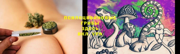 PSILOCYBIN Алзамай
