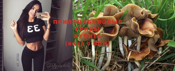 PSILOCYBIN Алзамай
