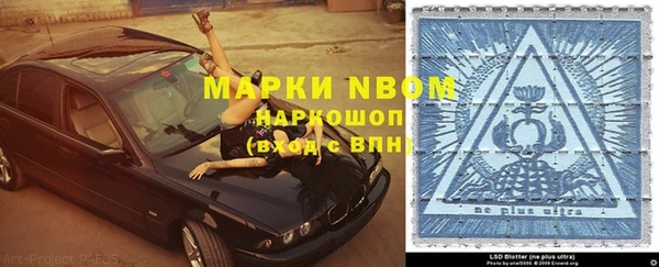 крисы Алексин
