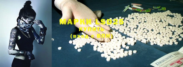 PSILOCYBIN Алзамай