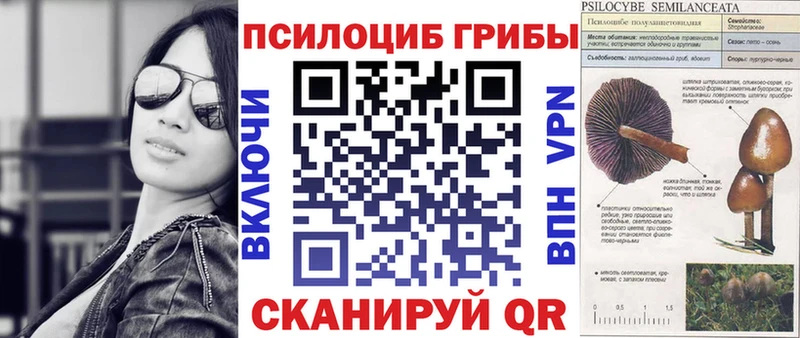 Галлюциногенные грибы Psilocybine cubensis  Дзержинский 